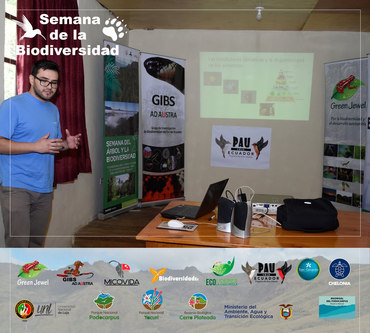 GrupoGreenJewel's tweet photo. SEMANA DE LA BIODIVERSIDAD
Áreas Protegidas Biodiversas
#ParqueNacionalPodocarpus #ParqueNacionalYacuri #ReservaBiológicaCerroPlateado #ReservaPrivadaElMadrigal #GIBS #EcolíderesLaCascarilla #GreenJewel #PAULoja #MICOVIDA #UNL #SanGerardo #Chelonia #ParqueUniversitarioLaArgelia https://t.co/PXNFPZvTYh