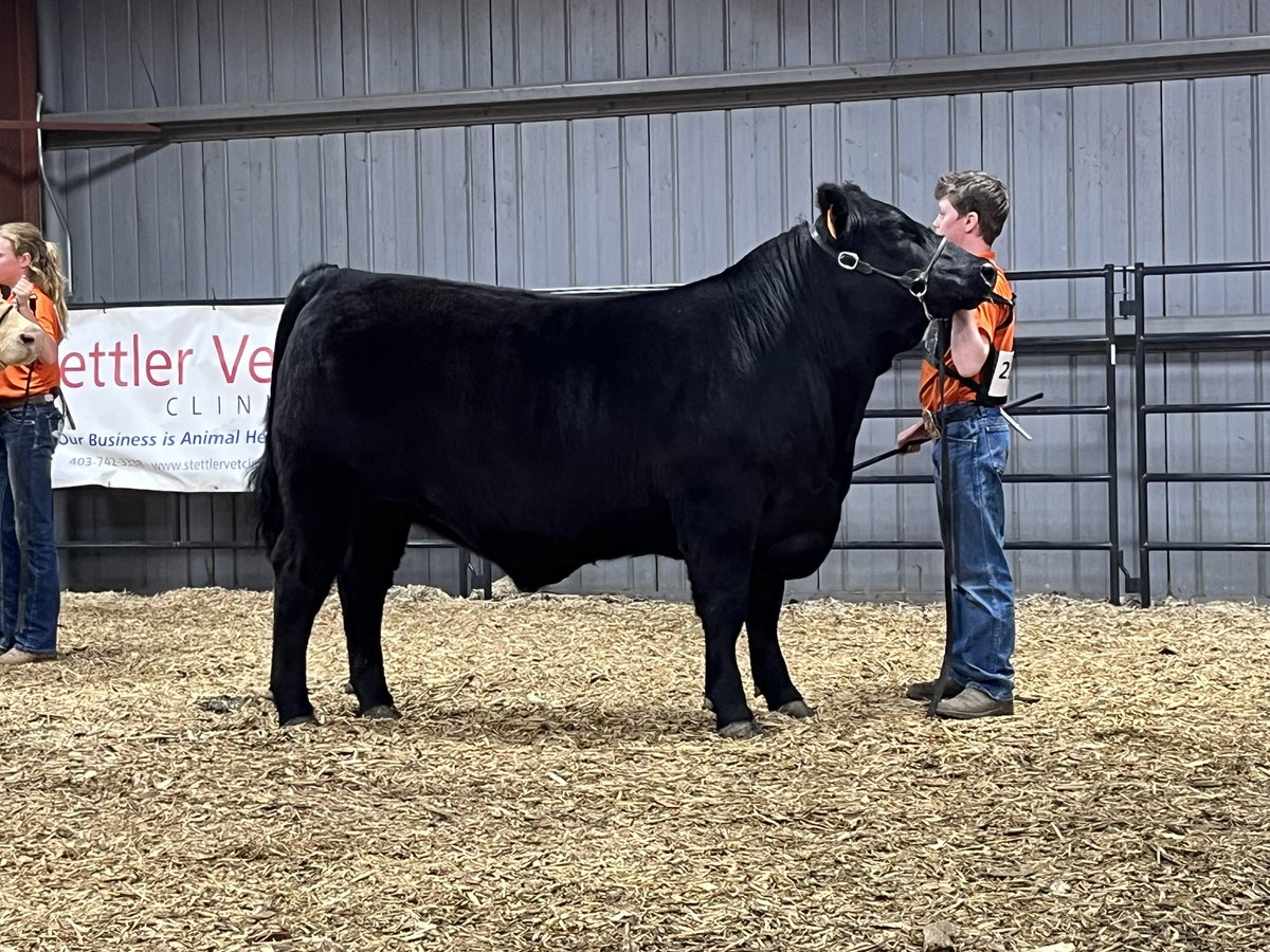 Luke would like to thank <a href="/gtcustomfarming/">Troy Monea</a> for purchasing his <a href="/4halberta/">4-H Alberta</a> market steer this week! Big shout out to all other 4-H supporters! <a href="/AlbertaAngus/">Alberta Angus</a> #albertabeef