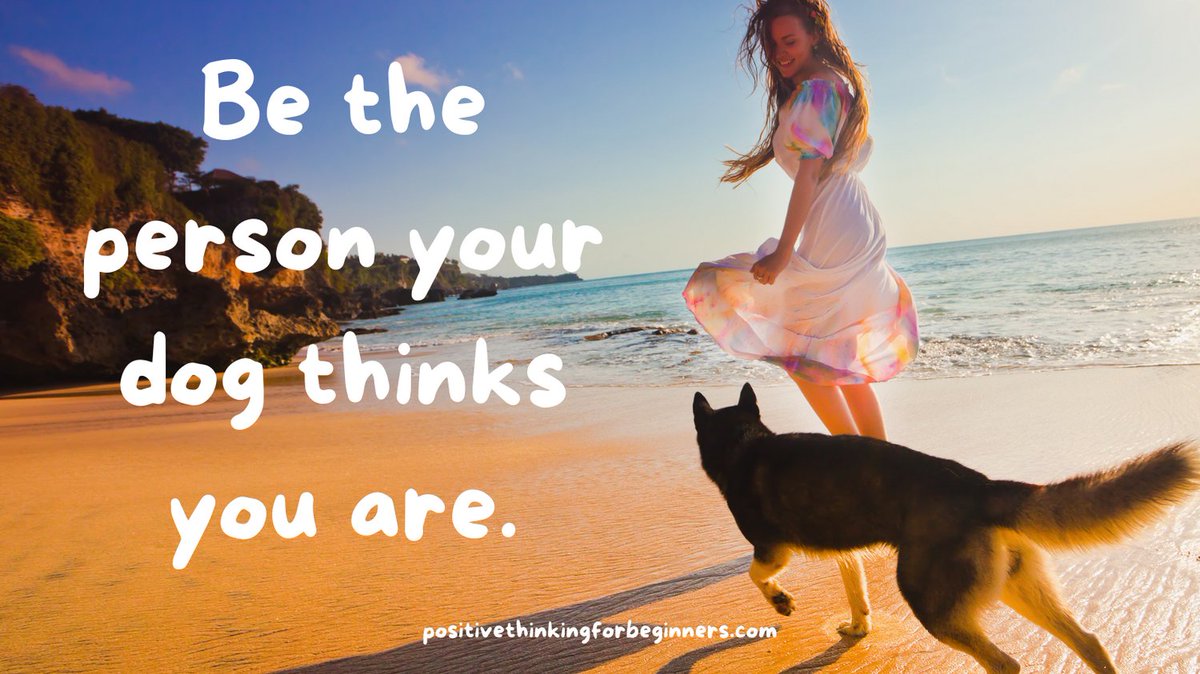 Be the person your dog thinks you are.

👉follow @PositiveT4Begin for daily positive tips & quotes 

#positivethinking #positivethinkingquotes  #dogquotes