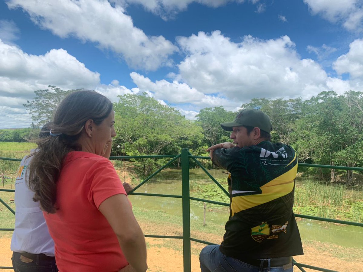 David Hernández tweet media