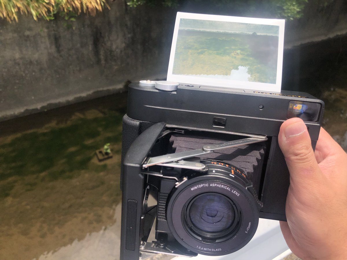 zuruo2's tweet image. 水路の草

 #rf70  #instakonrf70 #mintcamera