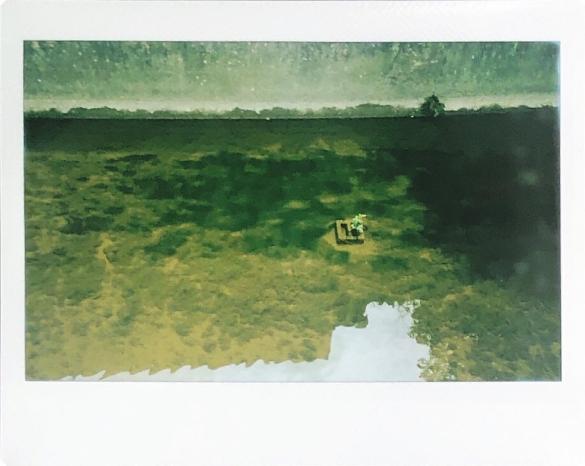 zuruo2's tweet image. 水路の草

 #rf70  #instakonrf70 #mintcamera