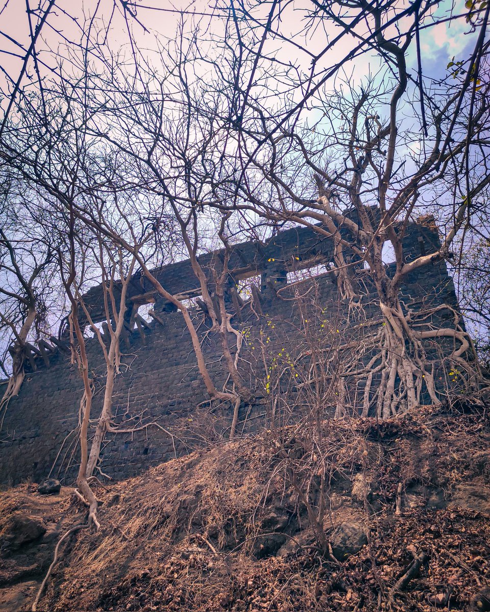 Gharapuri Fort🚩
#gharapurifort #gharapuri #gharapuri_memories #gadkille #gadkillemaharshtrache  #fort #fortsofmaharashtra #maharashtraforts #maharashtratrekking #maharashtra #trekking #trekkers #fortphotography #trekkingclicks #trekkingday #fortclick #fortlover