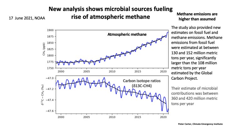 tmallard's tweet image. It's the money, the content #AI_bots cover up positive #ClimateAction

Since #AirPollution kills 1-in-5 globally &amp;amp; everyone knows it, these denials of #geophysics is #CapitalMurder aka #InvoluntaryManslaughter 20yrs a count 

Doesn't matter if law is enforced by the crooks or