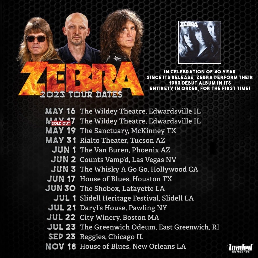 Felix Hanemann on Twitter "ZEBRA ZEBRA ZEBRA!!!"