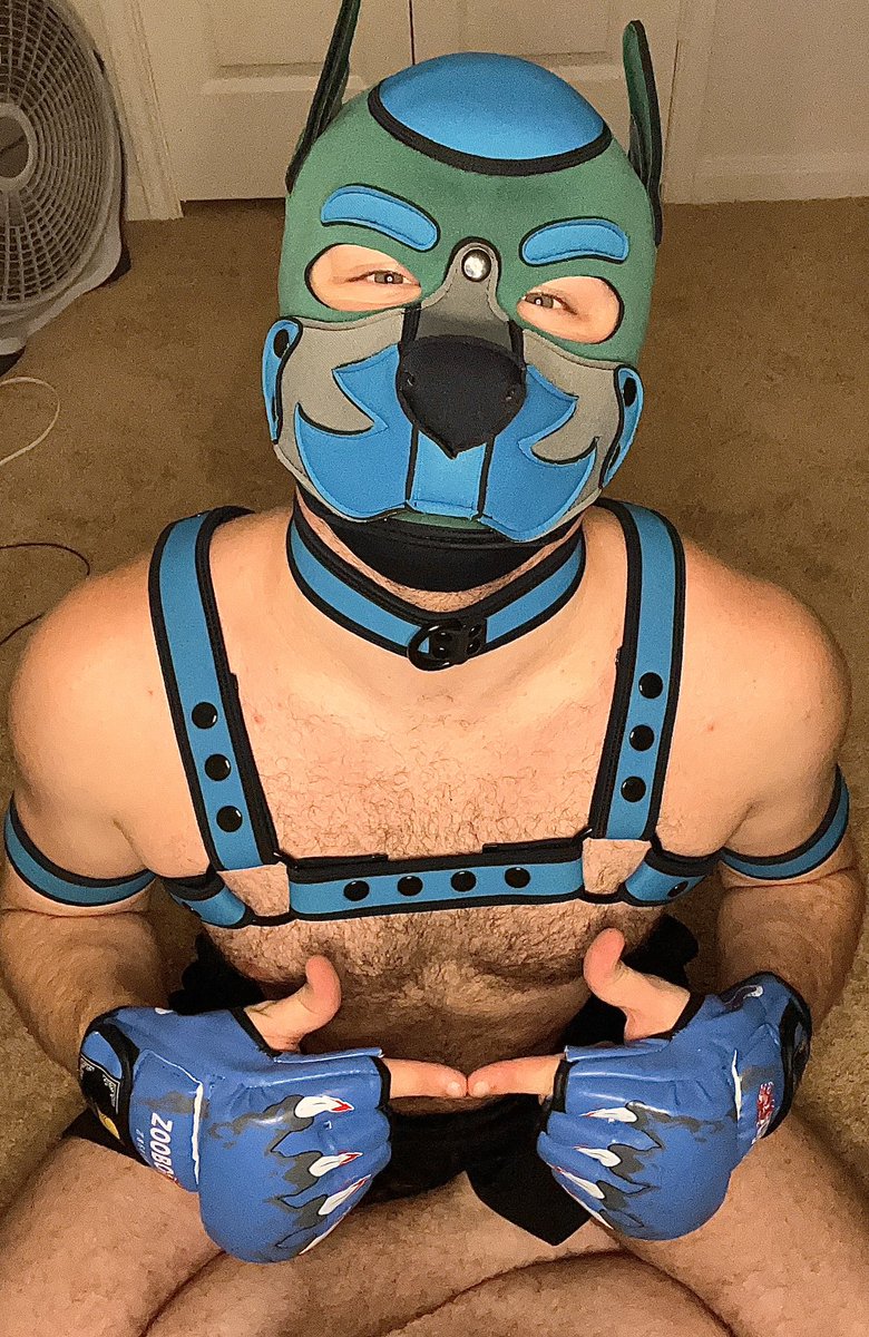NotPupNoah's tweet photo. Flex Friday! Except I don’t wanna and you can’t make me and wanna watch starwars with me instead? 🥺 https://t.co/EXbTQEqDYX