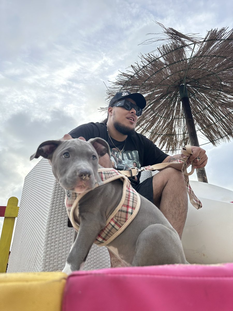 90skidprodigy's tweet photo. Meet Zeus 🐶 https://t.co/DMVvJ8VidD