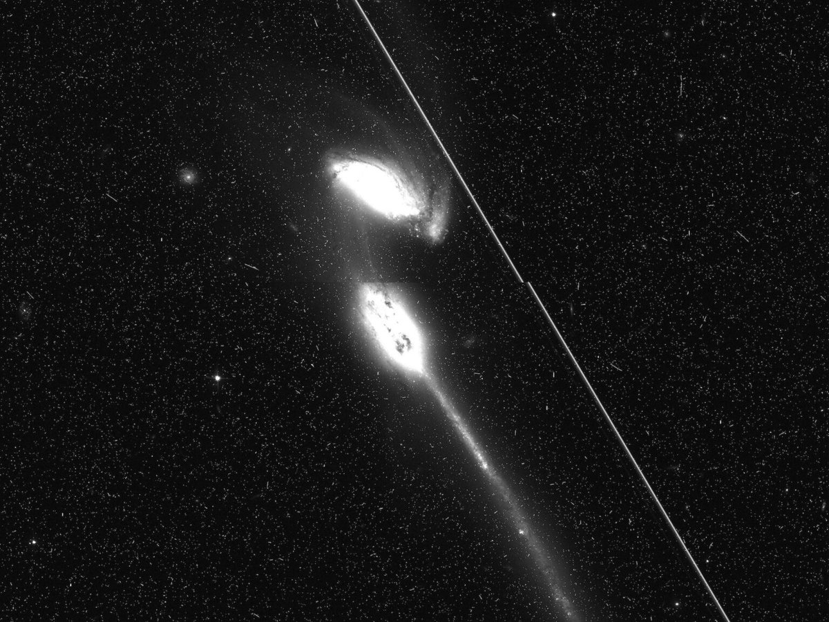 Day 70: the one where businessinsider Netherlands says "Elon Musk’s Starlink satellites are ruining images from NASA’s Hubble Space Telescope, threatening future science"