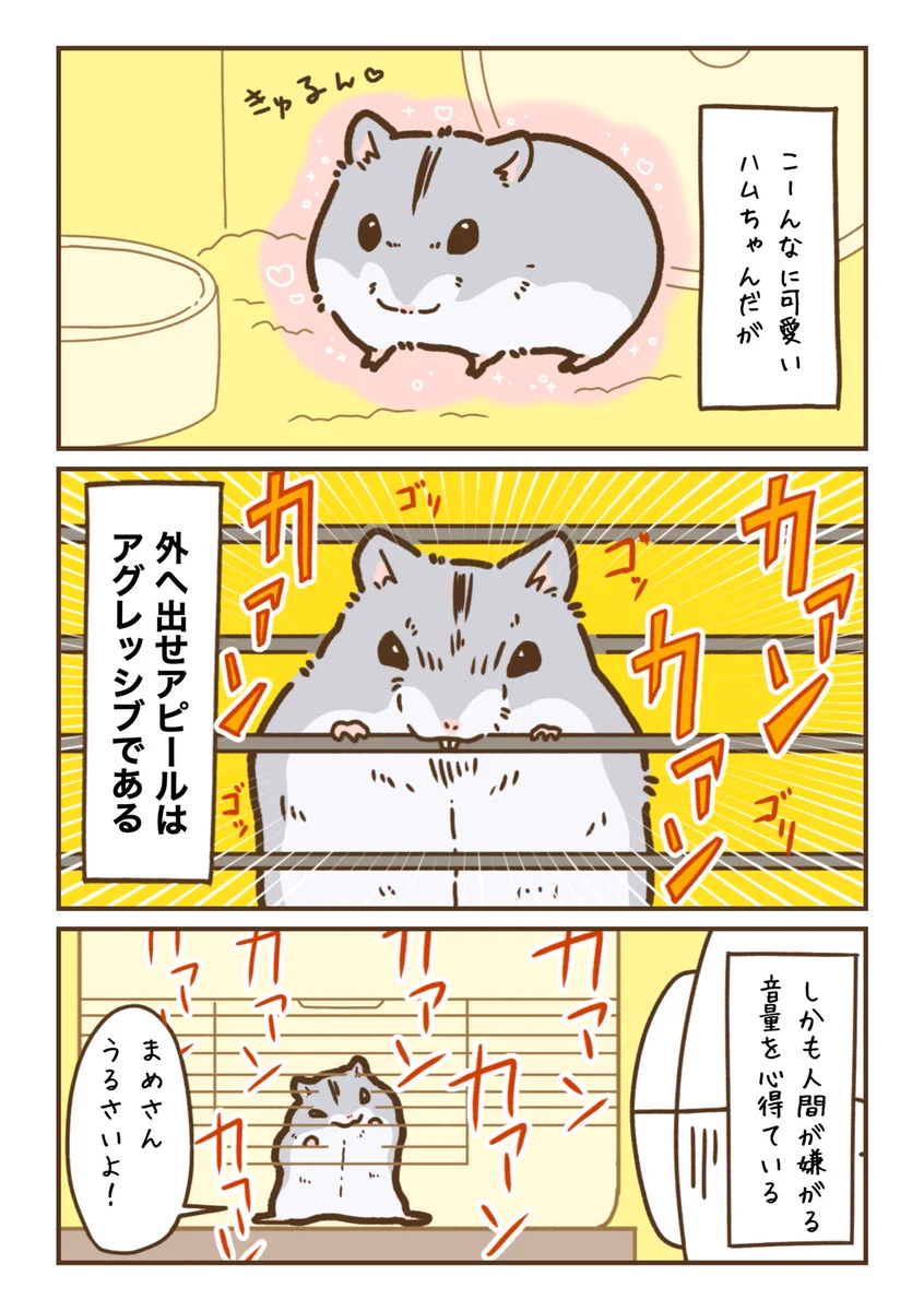 ケージを齧ることに夢中になりすぎて･･･！可愛すぎるハムスター漫画！