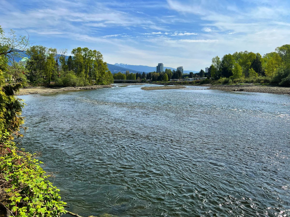 The Capilano River flows with the Spring run-off between North & West Vancouver, emptying into the Burrard Inlet. Also flowing on @AppleMusic is a full discography of music influenced by rock and roll of the 1970s & 80s:

🍏: music.apple.com/ca/artist/penn…

#WestVan #NorthVan #rocknroll