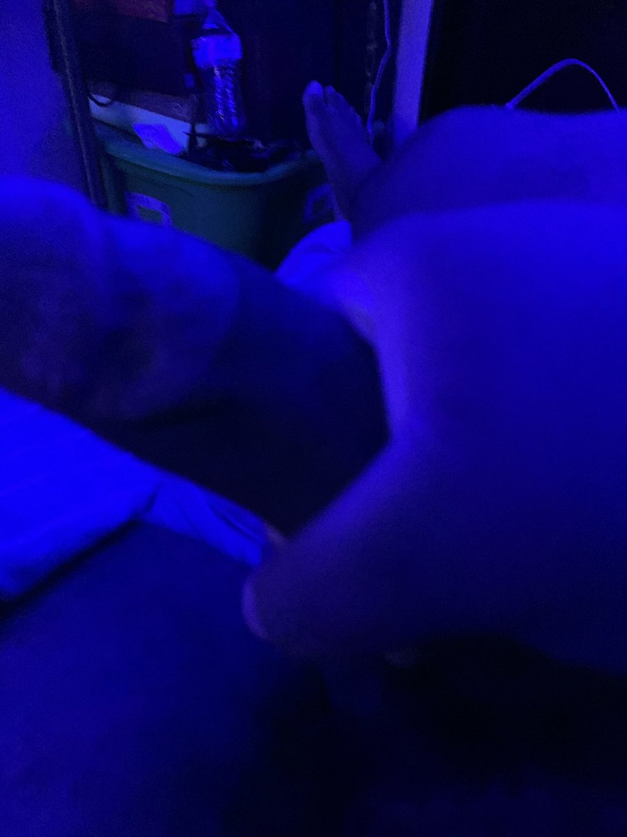 MMMPRIVATECLUB's tweet photo. I need a girl friend #nsfwtwt #nutvid https://t.co/OE1678Adqt