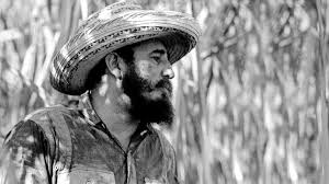 #MiCorazónX #FidelPorSiempre 
Trabajador incansable
#DeZurdaTeam 🤝🌻
@DeZurdaTeam_