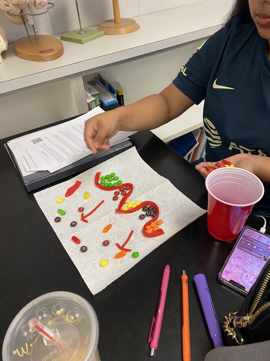 itsmayrogers's tweet photo. This week brings an end to an awesome year in anatomy. We had lots of laughs, ate lots of candy and got to do some dissections. Who says learning can’t be fun?! Wait to see what I have planned for next year. 🧠 @SHSSenators #shsscience https://t.co/Y1CBuna2r6