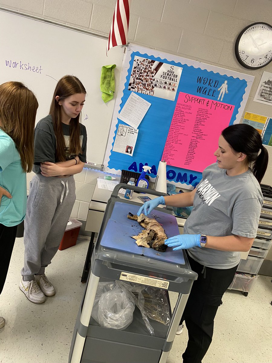 itsmayrogers's tweet photo. This week brings an end to an awesome year in anatomy. We had lots of laughs, ate lots of candy and got to do some dissections. Who says learning can’t be fun?! Wait to see what I have planned for next year. 🧠 @SHSSenators #shsscience https://t.co/Y1CBuna2r6