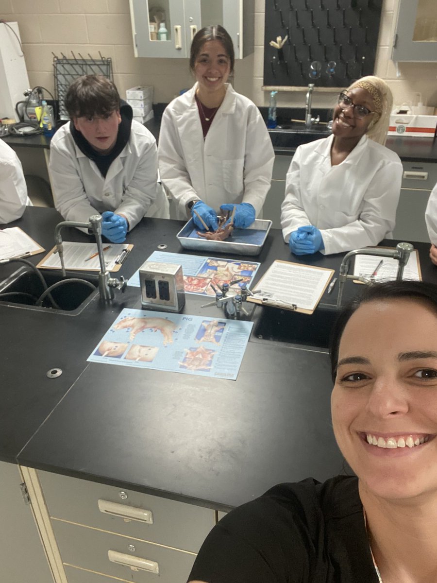 itsmayrogers's tweet photo. This week brings an end to an awesome year in anatomy. We had lots of laughs, ate lots of candy and got to do some dissections. Who says learning can’t be fun?! Wait to see what I have planned for next year. 🧠 @SHSSenators #shsscience https://t.co/Y1CBuna2r6