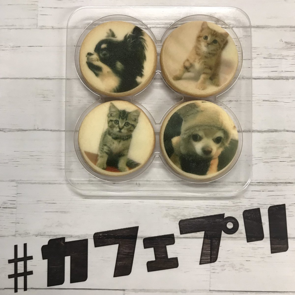 世界初4Kラテアート
画質発色国産安全
開発にトコトンこだわりました
🤩独自の画質プログラム🤩 🤩最新国産プリンター🤩 🤩国産６色インク印刷🤩 🤩国産部品で国内組立🤩
#アートクッキー
#逆プリ
#フォトラテ
#プリントクッキー 
#カフェプリ 
#フォトクッキー
#大須 
#わんちゃん
#ねこちゃん