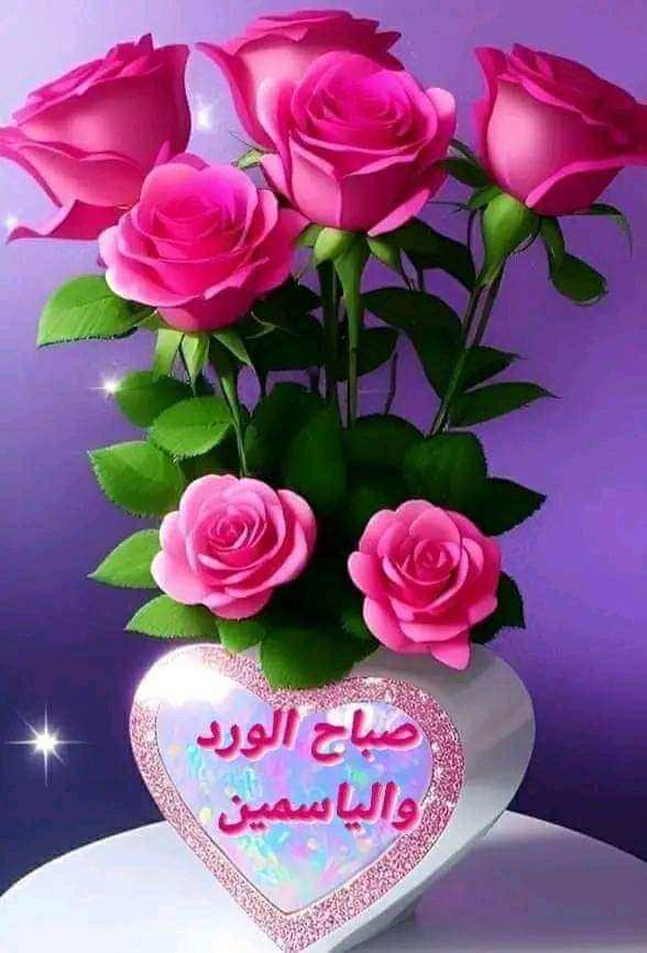 صباح الورد والياسمين على عيونكم الحلوه احبتي جميعا اينما كنتم