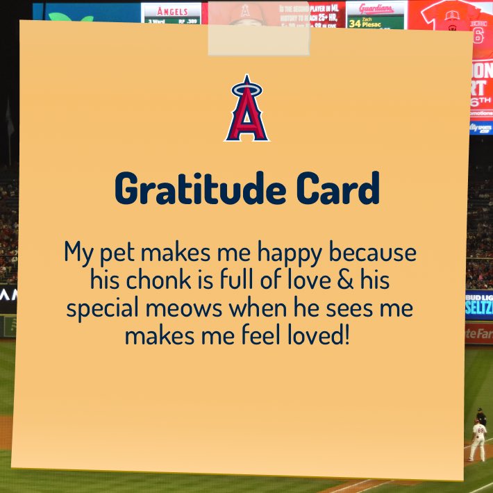 KaylaCaylen13's tweet photo. #OCNavigatorGratitude https://t.co/h8Lt667TZh