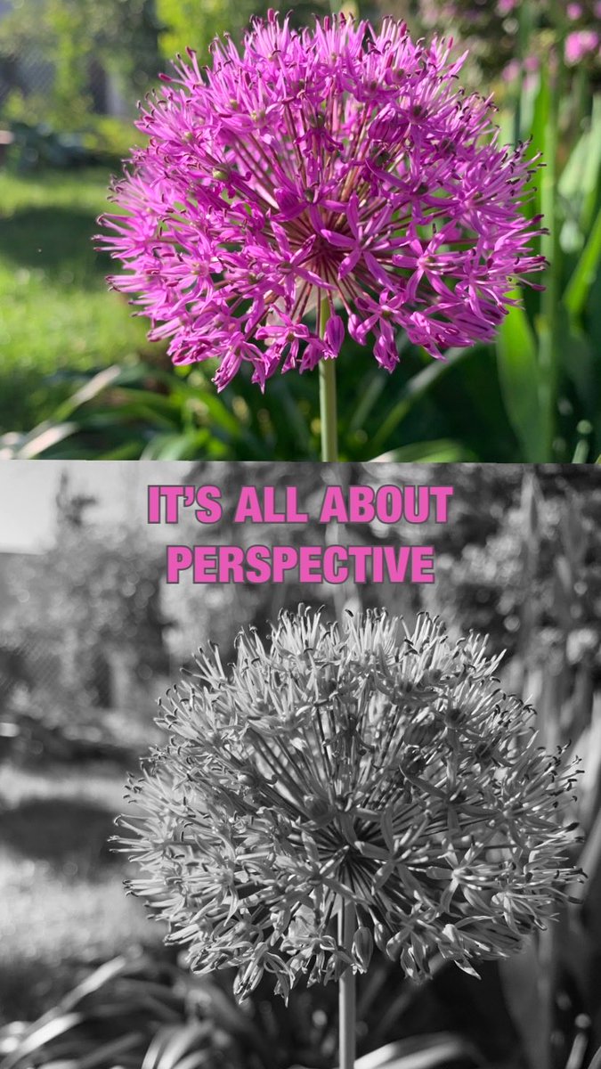 Mark Toth Style (@redandkhaki2016) on Twitter photo 