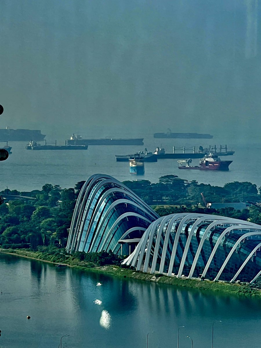 #beautifulsmile #stunning #views and breakfast in #singapore

We are ready for the @IEEEembs-@iHealthtechNUS public forum on #datascience in #healthcare #medicine #biology, May 30-31, 2023.

@UHBiomedEng @IEEEFutureDir @IEEEBrain 
@IEEE