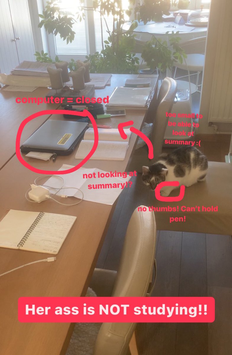 schoofs (@sch00fs) on Twitter photo 