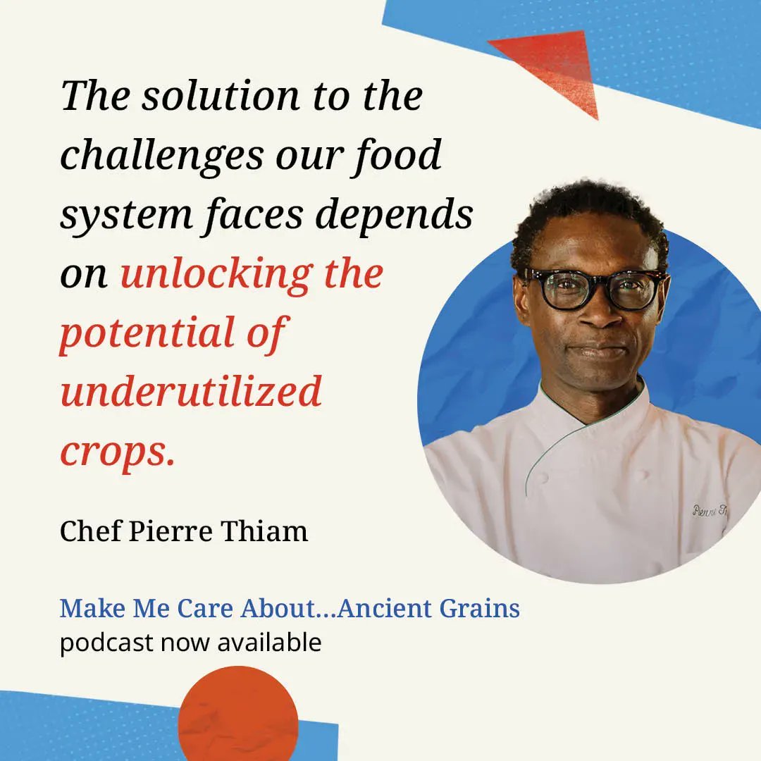 CropTrust's tweet image. Quinoa, farro, millet, sorghum, teff, fonio  - these ancient, resilient and nutritious grains could be the key to creating more sustainable foods in the future. 

Learn more from @ChefPierreThiam in a 🎧 podcast "Make Me Care About" by 
@gatesfoundation ➡️ buff.ly/431ARJ2