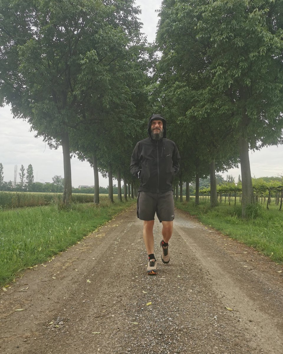 Filippo Menotti tweet media