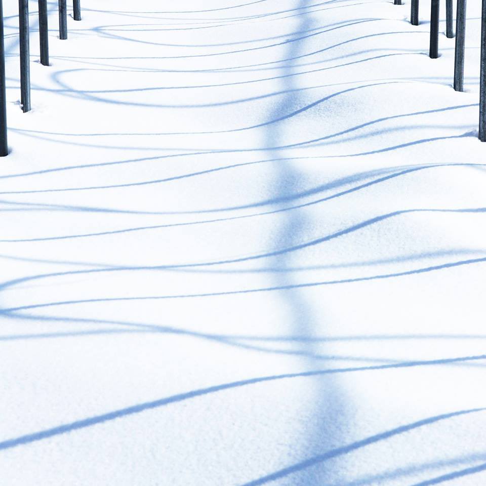 직선의 곡선에 대한 열망
이룰 수 없는 것에 대한 열망과 허상
#대관령삼양목장 #눈 #snow #그림자