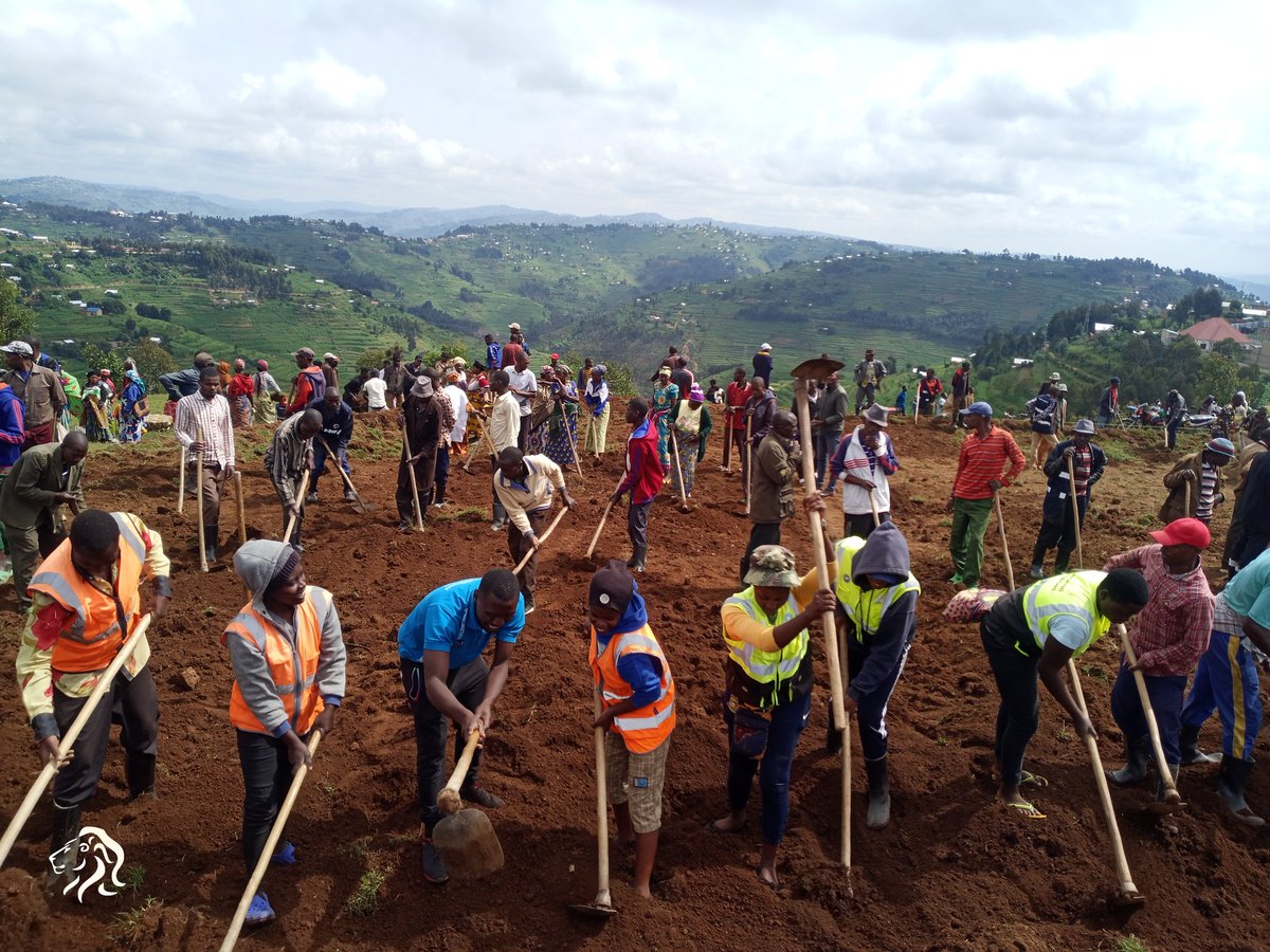 MiyoveN's tweet photo. None ku wa 27/05/2023 Kimwe n'ahandi hose mu gihugu Aho hari gukorwa umuganda usoza ukwezi Kwa Gatunu uribyiruko rwa @MiyoveG ruri kwifatanya n'ubuyobozi bw'Akarere ka Gicumbi ndetse n'abaturage mu muganda wo gusiza ikibuga cyo gukiniraho umupira w'amaguru.@NzabonimpaEmmy https://t.co/MeAJFcXBOv