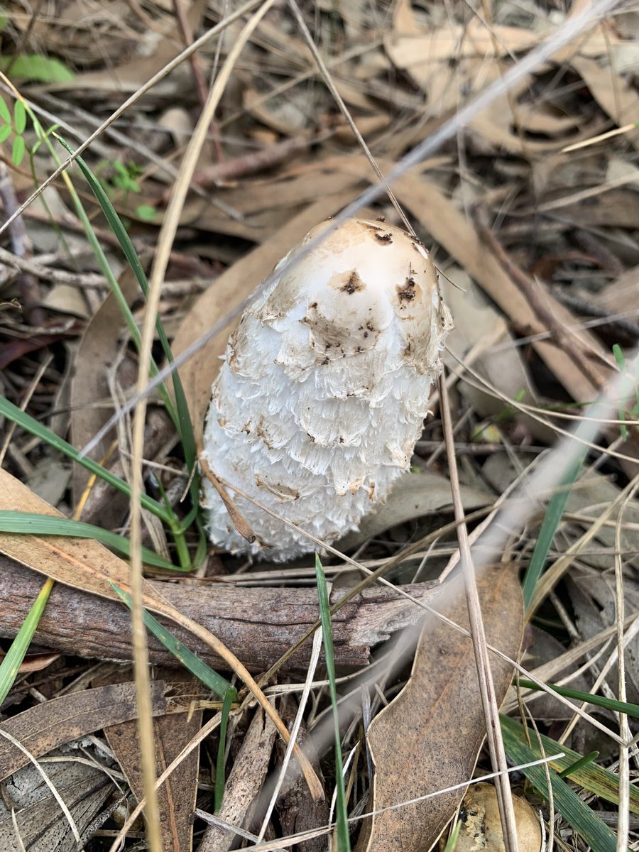 Baden Hicks tweet media