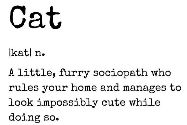 ArnieSwartzPoop's tweet image. 