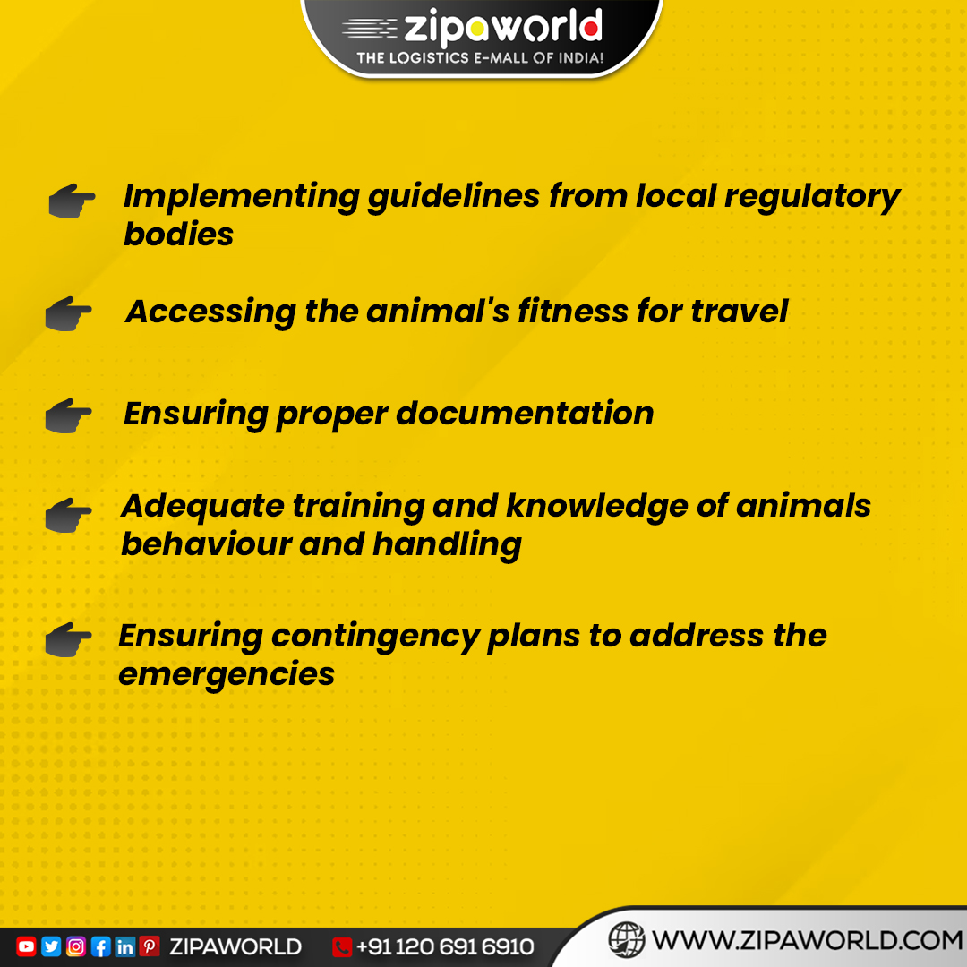 zipaworld's tweet photo. Transporting Live Animals?
Remember these Key Tips! 🐾✨ Ensuring the safety and well-being of our furry friends during transportation is paramount. Here are some essential things to remember:
#zipaworld #logistics #transportation #AnimalTransportationTips #AnimalSafetyFirst https://t.co/HTJLxvIEFE