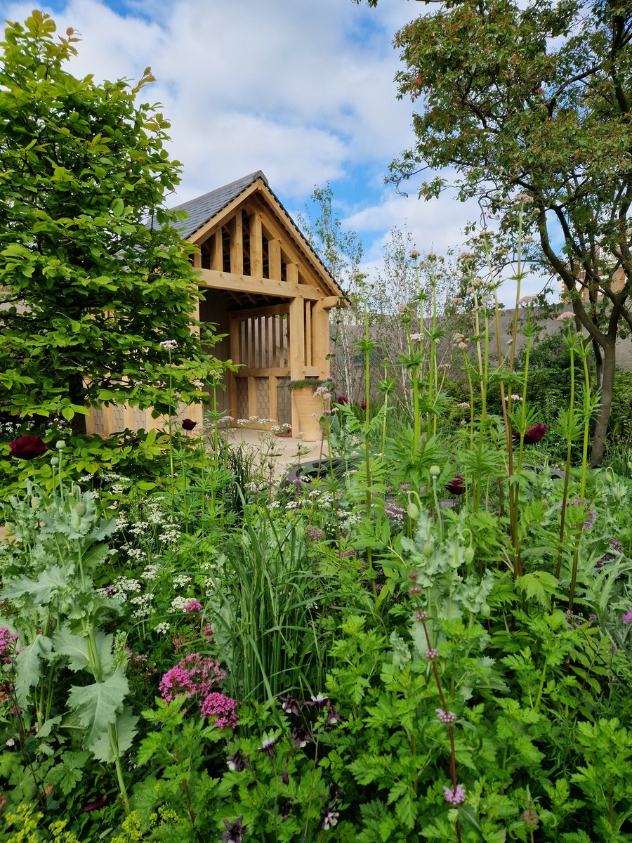 Another view of the Brewin Dolphin garden. This is a perfect example of what I mean when I say I prefer gardens that seem like they could be ACTUAL gardens. Thoughtful design and carefully considered planting make this attainable #Gardening #GardeningTwitter #ChelseaFlowerShow