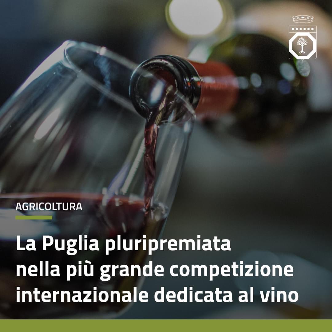 immagine post twitter