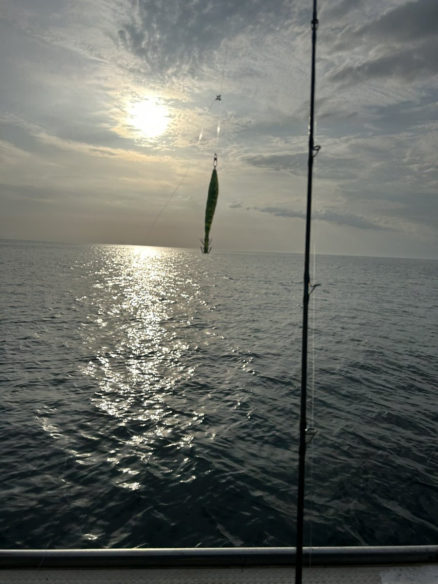 kimagure_masa's tweet photo. 今年初ケンサキイカ🦑
さぁ釣れるかなぁ🧐 https://t.co/D31yMk9HzO