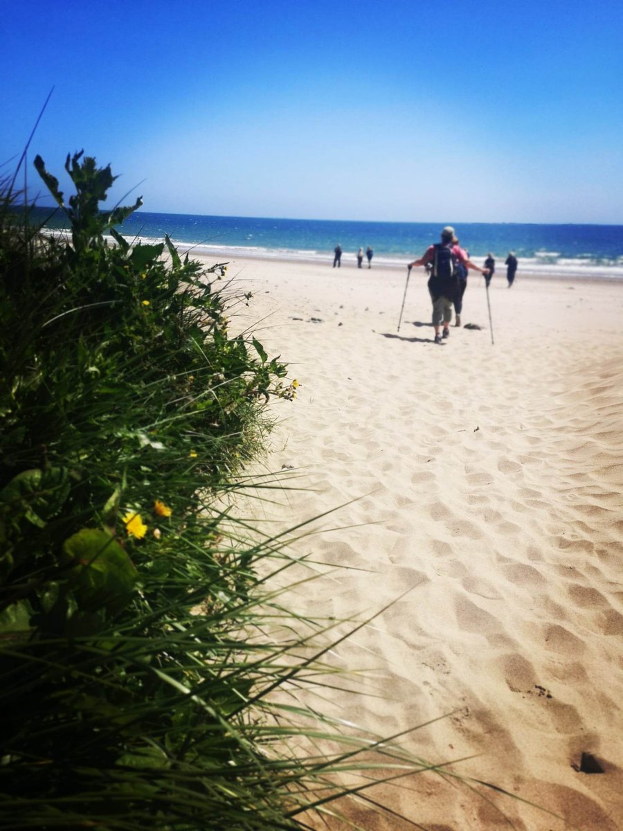 Celtic Ways Ireland (@waterfordcamino) on Twitter photo Memorable few days in Wexford with our friends from Canada, Wales and Ireland along <a href="/wexpempilgrim/">Wexford Pembrokeshire Pilgrim Way</a> 🌻💜☀️ #camino #pilgrimpath #ireland #walking #travel #tourism #irishwhiskey #irishcoffee #irishvacation Memorable few days in Wexford with our friends from Canada, Wales and Ireland along <a href="/wexpempilgrim/">Wexford Pembrokeshire Pilgrim Way</a> 🌻💜☀️ #camino #pilgrimpath #ireland #walking #travel #tourism #irishwhiskey #irishcoffee #irishvacation