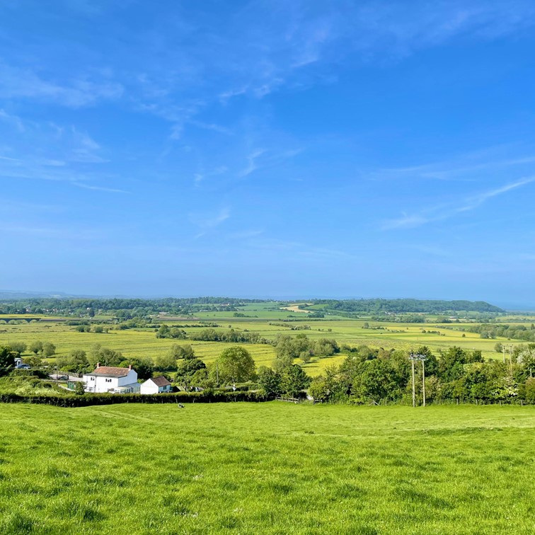 BBC Weather tweet media