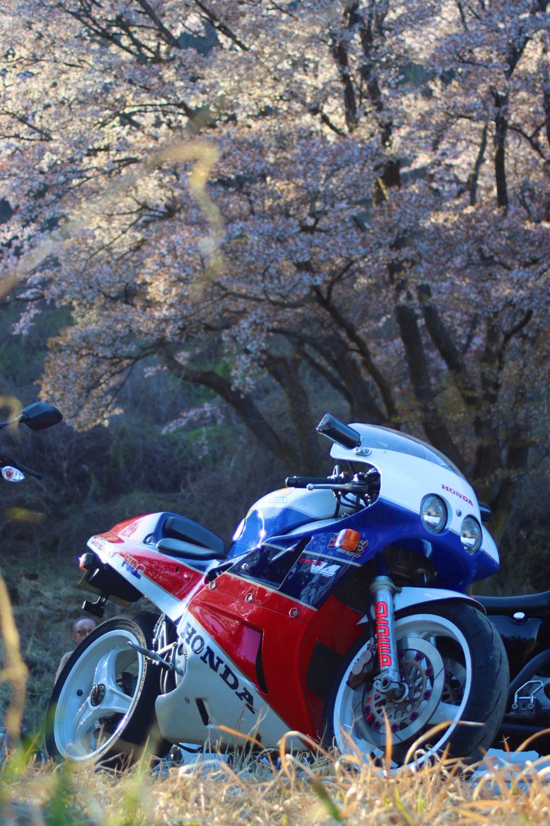 99y_m_'s tweet image. 実は、ご縁があり
往年のレーサーレプリカVFR750R（RC30）納車されました💓
今までのバイクに無い楽しさがあります🤫
FCRキャブにフルエキがたまらないっ
今年こそたくさんツーリング行くぞ〜〜〜💘

#RC30 
#VFR750R
#バイク女子
#HONDA