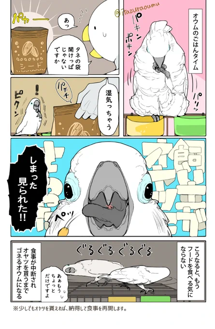 好きな物から食べたいオウム。