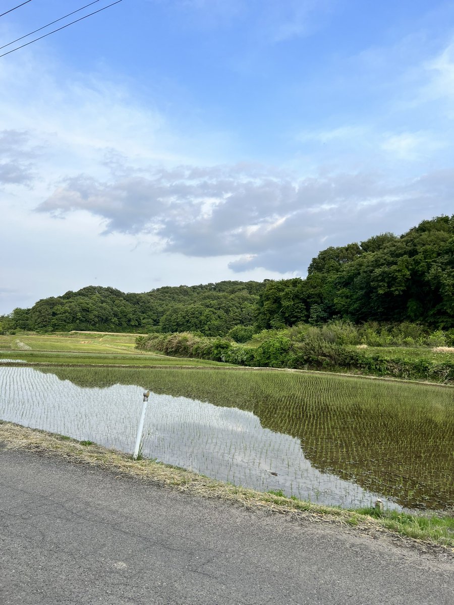 Imaimimain4's tweet photo. 須賀川市の夕焼け模様と
山景色と田んぼ( ・∇・)
凄いほんとに田舎感が凄くて
でも綺麗でした✨
 #須賀川市
 #山景色
 #夕焼け模様
 #田んぼ https://t.co/a4WBH6NXZ3