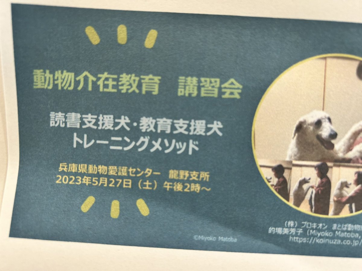 Princes20071103's tweet photo. 今日は午後から
愛護センターで、動物愛護推進委員研修会に行ってきました。
動物介在教育のトレーニングメソッド
（読書支援犬・教育支援犬になるためのトレーニング）
的場先生の講習でした。
トリミングにも活かせると思うところ多数😊 https://t.co/xHYY4LOlm5