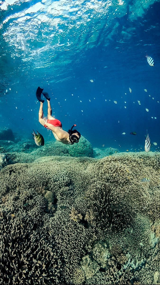 Wonderful Underwater Gili Island
#wonderfulindonesia
#freedive