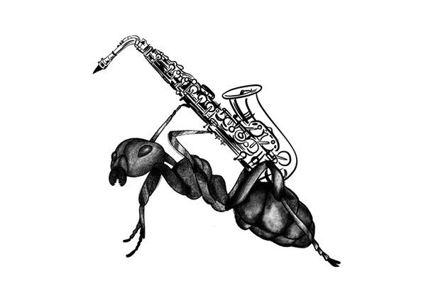 cultugrafia's tweet photo. Hormiga cargando saxofón. Ilustración de Ana Rabadán. Contraportada del primer álbum de David Surti. 

Artículo: David Surti, toda una vida de música e influencias.
https://t.co/17ujgv8E7j https://t.co/pHXOqEc6Cb