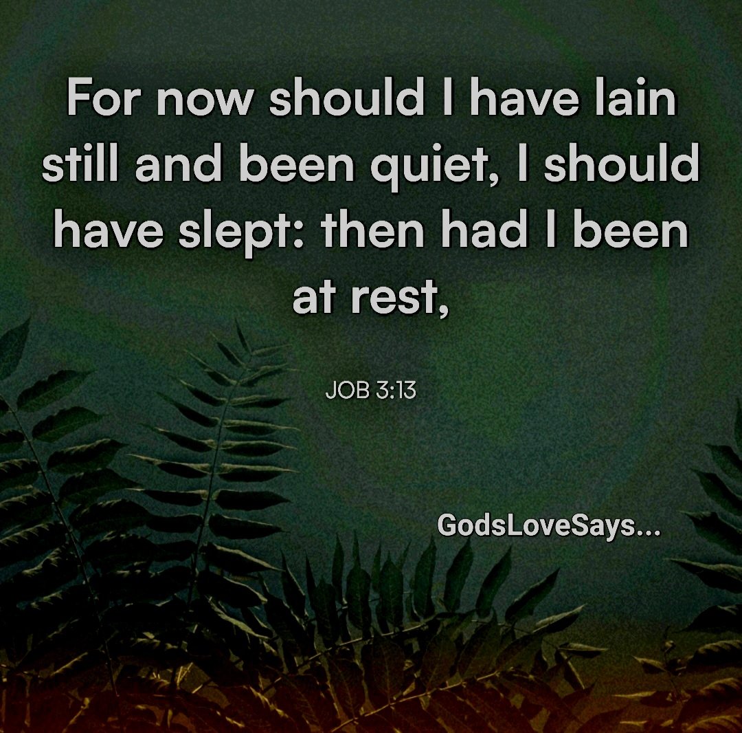 HornettPam's tweet photo. For now I would be lying down in peace; I would be asleep and at rest
Job 3:13
#GodsLoveSays #Job #lyingdown #peace #still #quiet #asleep #slept #atrest https://t.co/AlQ2eF0fwk