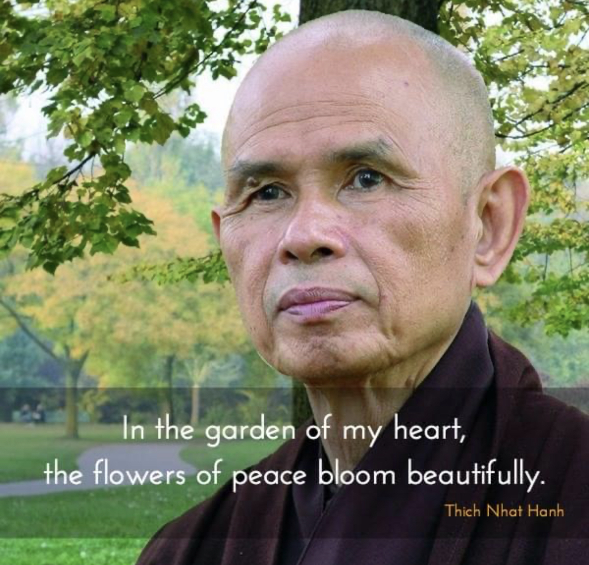 Words of wisdom from Thich Nhat Hanh:
In the garden of my heart, the flowers of peace bloom beautifully.

#ThichNhatHanh #LamaSuryaDas #Dzogchen #Meditation  #Mindfulness #SelfInquiry #NonDual  #Buddhism #Healing #Wellness #Yoga  #Dharma #AwakeningtheBuddhaWithin #HowtoHeal