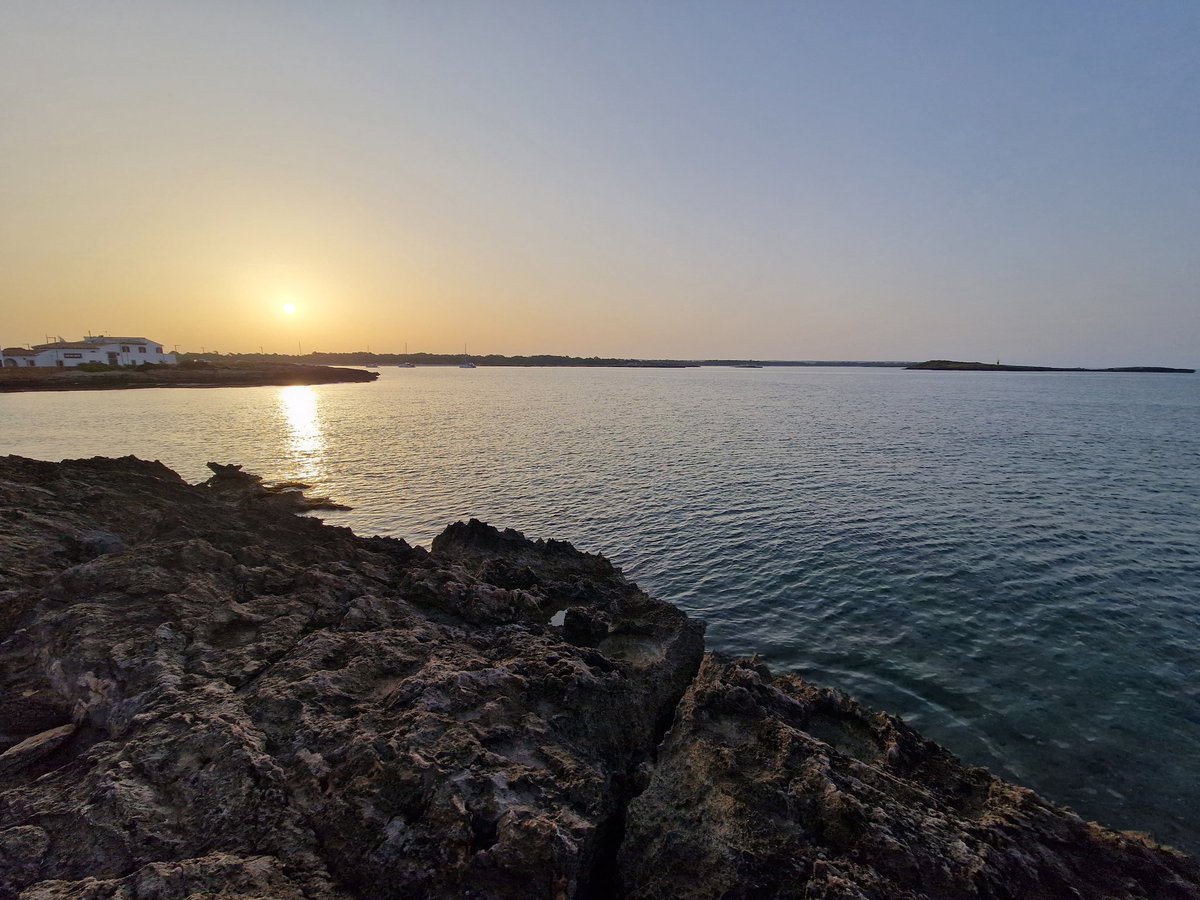 𝗧𝗼𝗺𝗲𝘂 tweet media