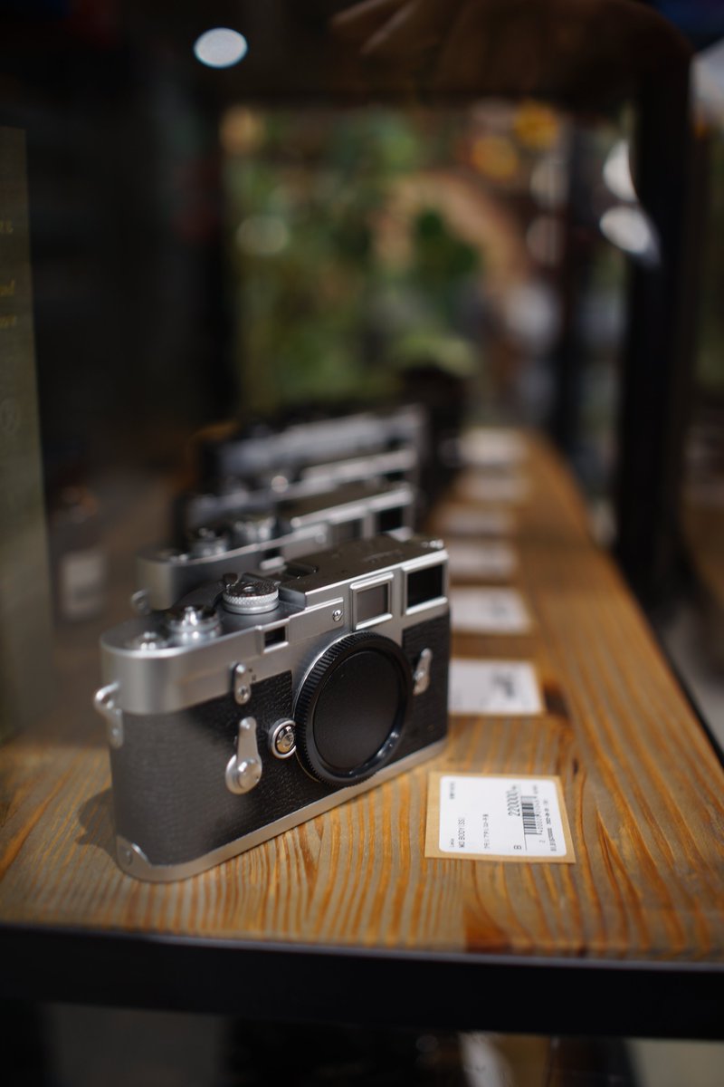 sanpoucamera's tweet image. (*'▽') おお！

＃おお　
＃2ndBASE