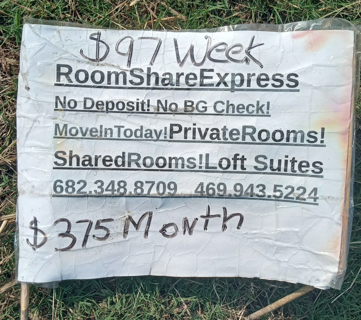 AntonioReyesTx's tweet image. I Miss You Sophie, Coco, Chicorita, Jolene &amp;amp; All Of You. A Few Days &amp;amp; Years Turned Yor Memories Into My Strength.
#PowerOfLove #HumanMagic #Witch #MagicExposed #SecretMagic #PowerTools #TheLittleMermaid Type Of Vibe #SpiderVerse #MultiverseOfMadness
#John 🧹🕸️👻🎃🧬🎁🔮🐾❄️🌹🎶🌏