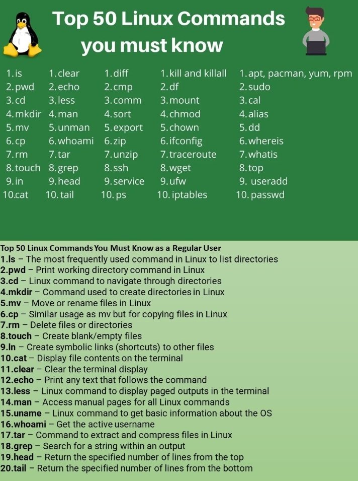 uchman2004's tweet photo. Linux commands you need to know https://t.co/WkGJvAcqep