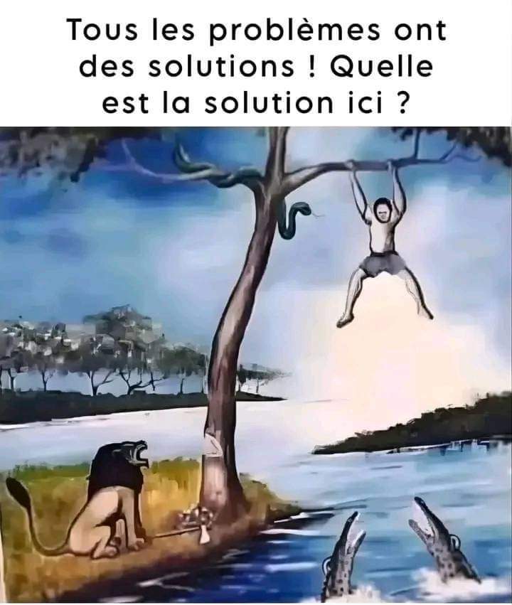 Zone Presse📰 tweet media